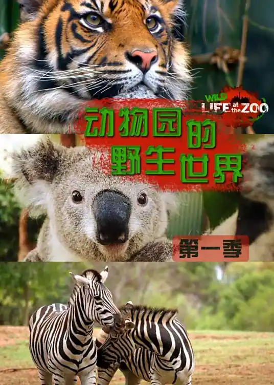 动物园的野生世界 第一季海报