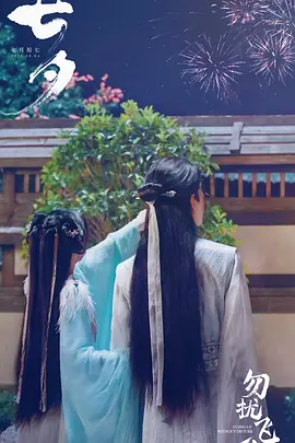 勿扰飞升海报
