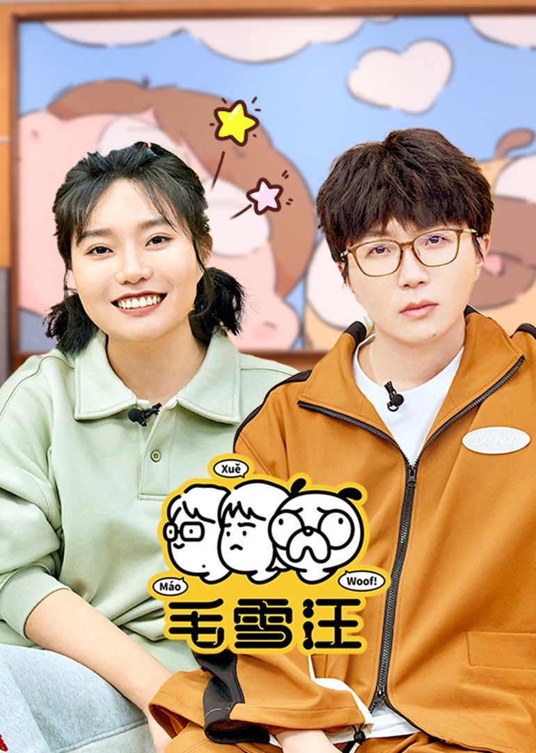 毛雪汪(2026)海报